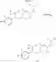 Fig. 07 - Substituted N-heterocycle derivatives and methods of their use