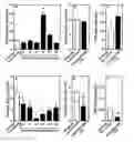 Fig. 01 - Methods, compounds, and compositions for reducing body fat and modulating fatty acid metabolism