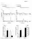 Fig. 04 - Methods, compounds, and compositions for reducing body fat and modulating fatty acid metabolism