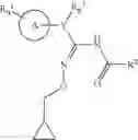 Fig. 05 - Benzyl amidoxime derivatives, intermediate products and method for their production and use as fungicides