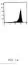 Fig. 06 - Statins (HMG-CoA reductase inhibitors) as a novel type of immunomodulator, immunosuppressor and anti-inflammatory agent