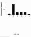 Fig. 08 - Statins (HMG-CoA reductase inhibitors) as a novel type of immunomodulator, immunosuppressor and anti-inflammatory agent