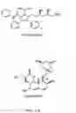 Fig. 15 - Statins (HMG-CoA reductase inhibitors) as a novel type of immunomodulator, immunosuppressor and anti-inflammatory agent
