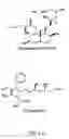 Fig. 16 - Statins (HMG-CoA reductase inhibitors) as a novel type of immunomodulator, immunosuppressor and anti-inflammatory agent