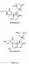 Fig. 17 - Statins (HMG-CoA reductase inhibitors) as a novel type of immunomodulator, immunosuppressor and anti-inflammatory agent