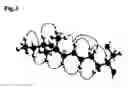 Fig. 04 - Cytotoxin compound and method of isolation