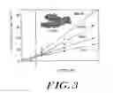Fig. 04 - Regulation of phospholipase D activity