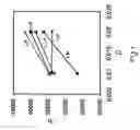 Fig. 02 - Polymerization process