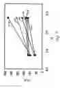 Fig. 08 - Polymerization process