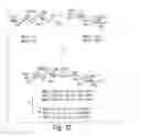 Fig. 13 - Solid- and solution-phase synthesis of heparin and other glycosaminoglycans