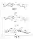 Fig. 17 - Solid- and solution-phase synthesis of heparin and other glycosaminoglycans