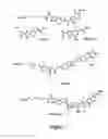 Fig. 02 - Negatively charged minor groove binders