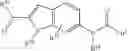 Fig. 41 - Negatively charged minor groove binders