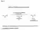Fig. 04 - Hydrolytic kinetic resolution of cyclic substrates
