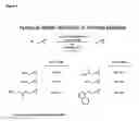 Fig. 05 - Hydrolytic kinetic resolution of cyclic substrates