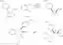 Fig. 32 - Hydrolytic kinetic resolution of cyclic substrates