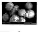 Fig. 02 - Process for direct oxidation of propylene to propylene oxide and large particle size titanium silicalite catalysts for use therein