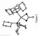 Fig. 03 - Single component cationic palladium proinitiators for the latent polymerization of cycloolefins