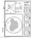 Fig. 04 - Global endoscopic viewing indicator