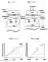 Fig. 08 - Ultrasonograph, method for displaying information on distortion of biological tissue in ultrasonic image