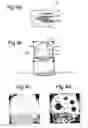 Fig. 05 - Laser doppler perfusion imaging with a plurality of beams