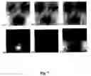 Fig. 08 - Multi-wavelength imaging of highly turbid media