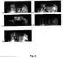 Fig. 09 - Multi-wavelength imaging of highly turbid media