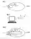Fig. 02 - Cable-free endoscopy method and system for determining in vivo position and orientation of an endoscopy capsule
