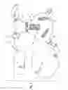 Fig. 06 - Cervical collar utilizing laminated members