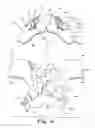 Fig. 12 - Cervical collar utilizing laminated members