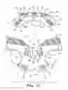 Fig. 13 - Cervical collar utilizing laminated members