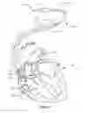 Fig. 02 - Method for guide catheter positioning