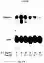 Fig. 16 - Electrical devices and anti-scarring agents