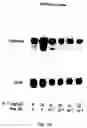 Fig. 22 - Electrical devices and anti-scarring agents