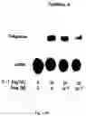 Fig. 23 - Electrical devices and anti-scarring agents
