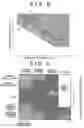 Fig. 09 - Deceleration control apparatus and method for a vehicle