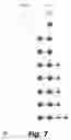 Fig. 08 - Manipulating sets of hierarchical data