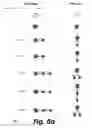 Fig. 09 - Manipulating sets of hierarchical data