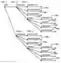 Fig. 01 - Managing XML documents containing hierarchical database information
