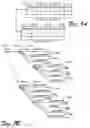 Fig. 02 - Managing XML documents containing hierarchical database information