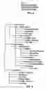 Fig. 03 - Automatic hierarchical categorization of music by metadata