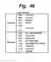 Fig. 49 - Information transmission method, information processing method, information transmission system, and data processing apparatus