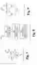Fig. 07 - Error correction decoder using cells with partial syndrome generation