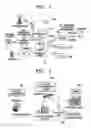 Fig. 02 - System and method of providing integrated communications and broadcasting service