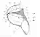 Fig. 06 - Hat having foldable flap