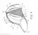 Fig. 07 - Hat having foldable flap