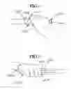 Fig. 06 - Multipurpose brush with ergonomic handle