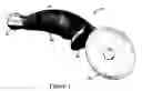 Fig. 02 - Culinary implement with interchangeable elements