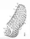 Fig. 09 - Article of footwear with perforated covering and removable components