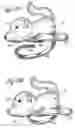 Fig. 07 - Plush toy for mounting on a shoe